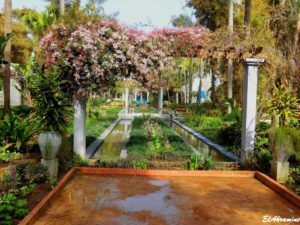 Exotic Garden of Bouknadel