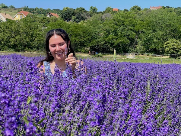 Tihany Lavender Festival Visit Hungary