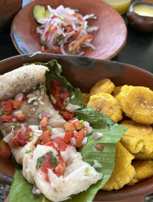 pescado con patacones traditional peruvian food