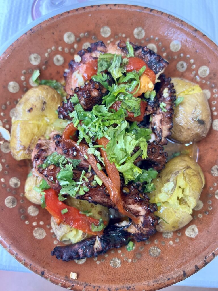 Polvo a Laranjeiro octopus